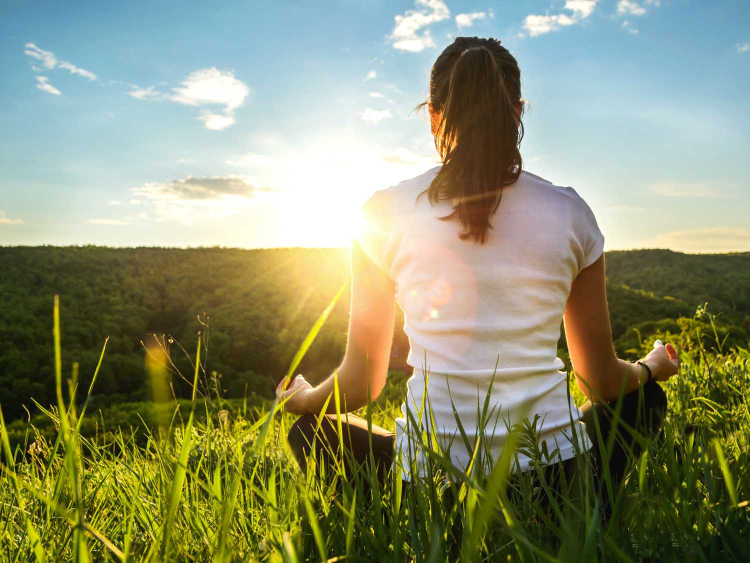 Meditation and wellbeing, let's learn to meditate