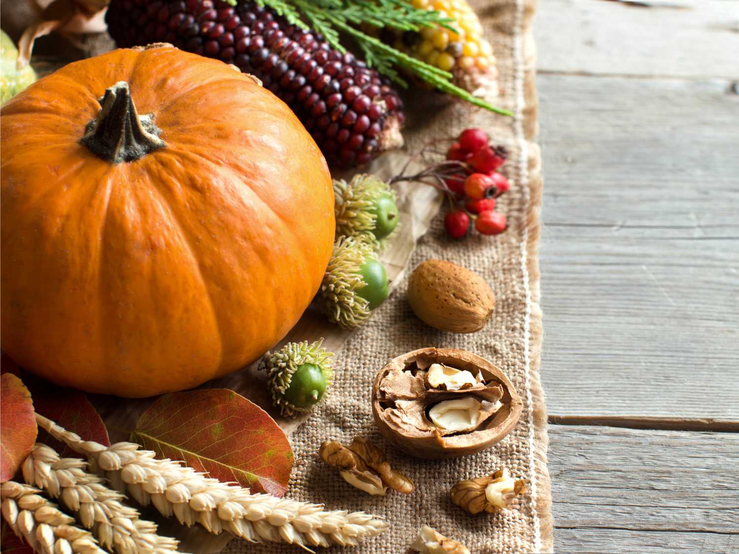 Autumn diet: seasonal products in autumn