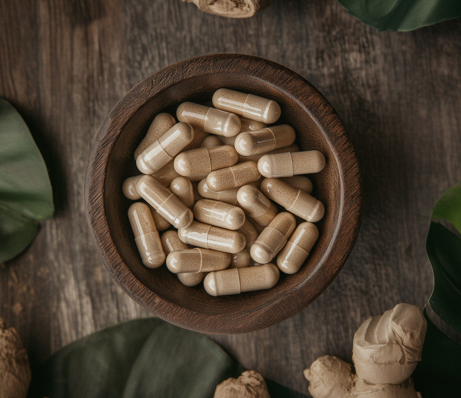 Our capsules. Simple, powerful and plant-based.