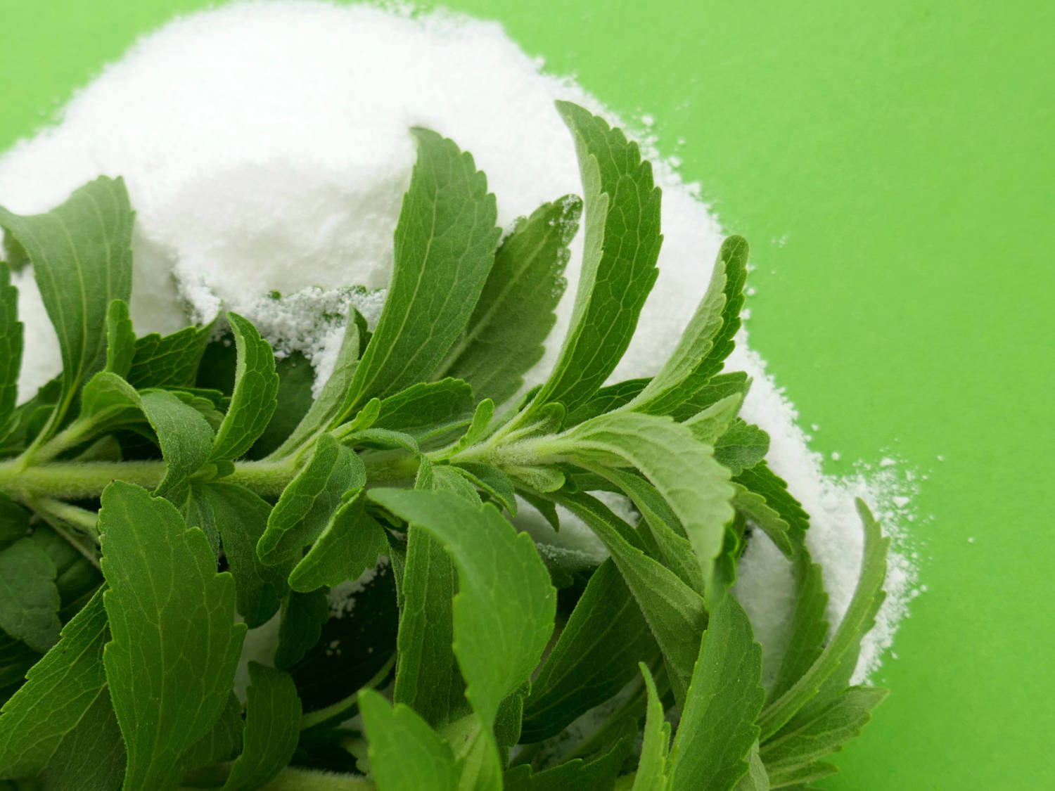 3 toothpaste recipes with coconut oil: a natural alternative