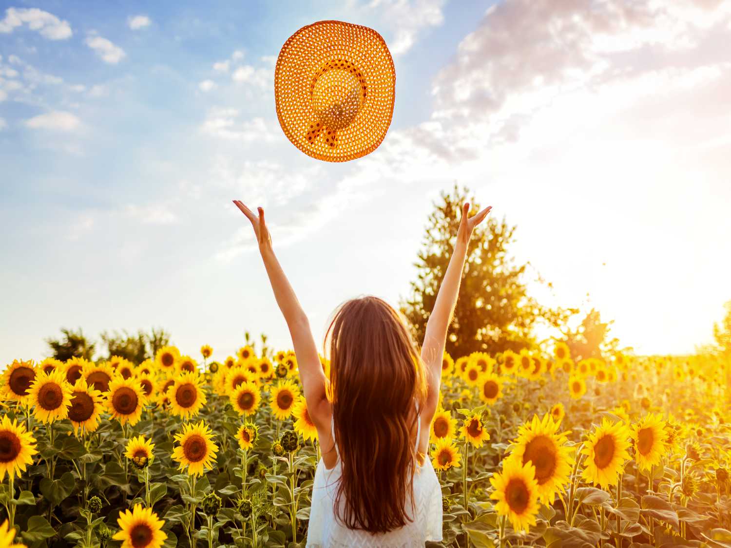 Gratitude: being grateful makes you live better