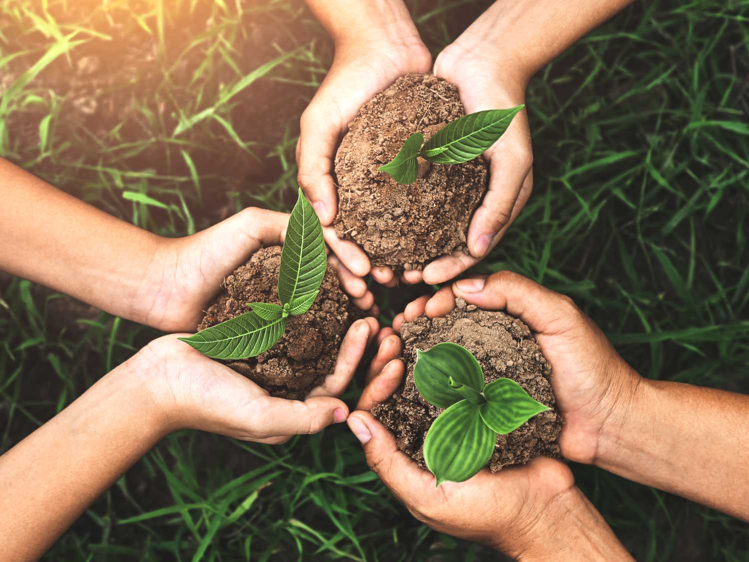 Sostenibilità ambientale: qualche consiglio per vivere più “green”
