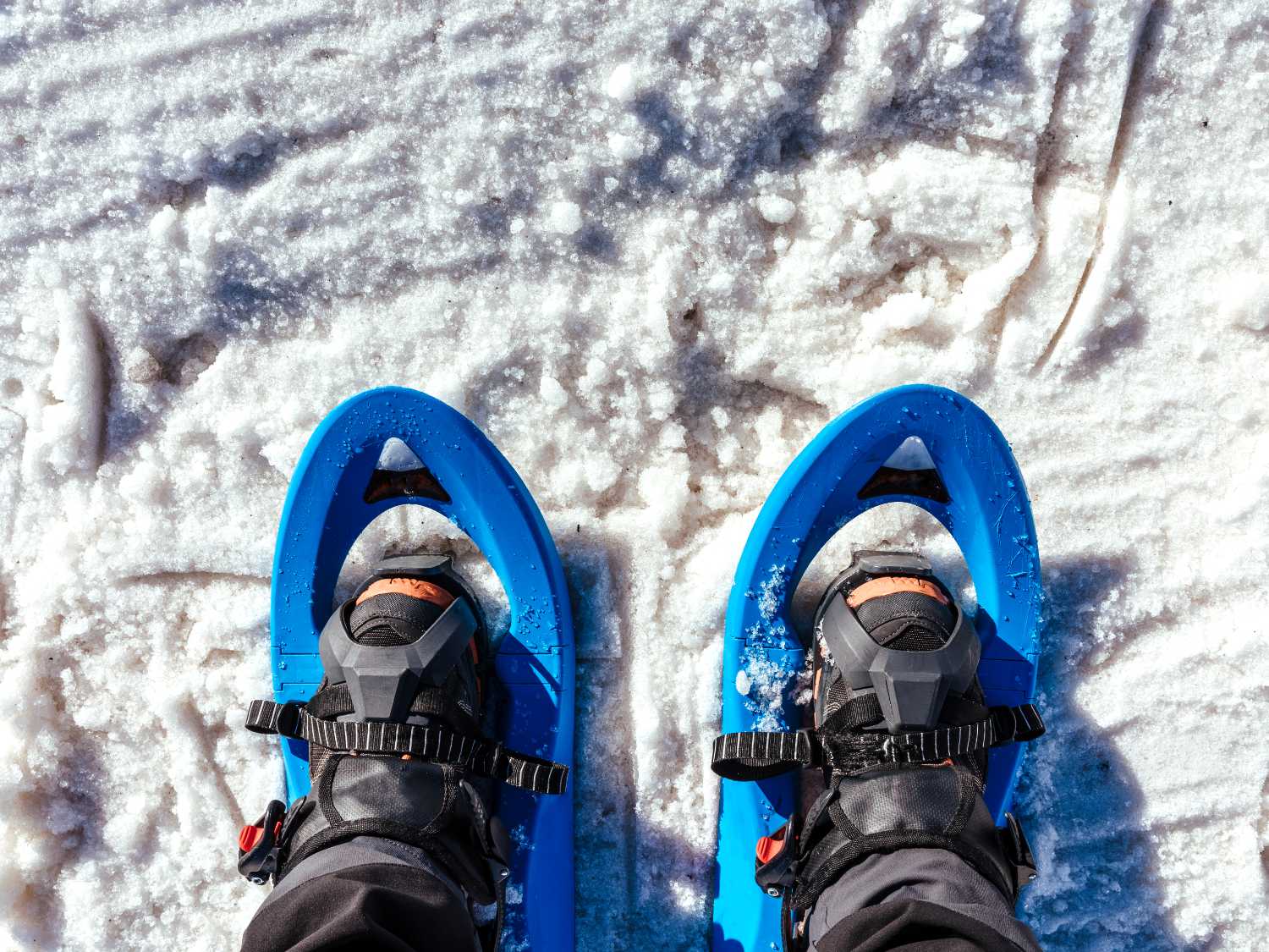 Winter sports: the benefits of training in the cold