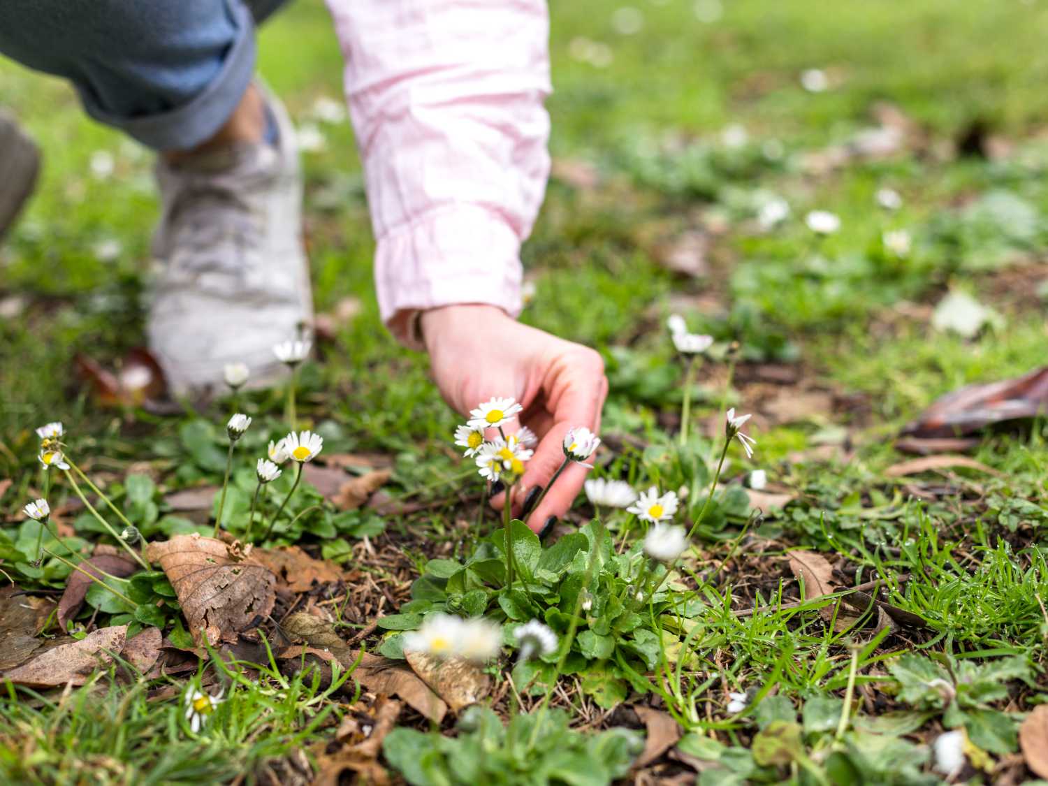 Change of season in spring: supplements against tiredness