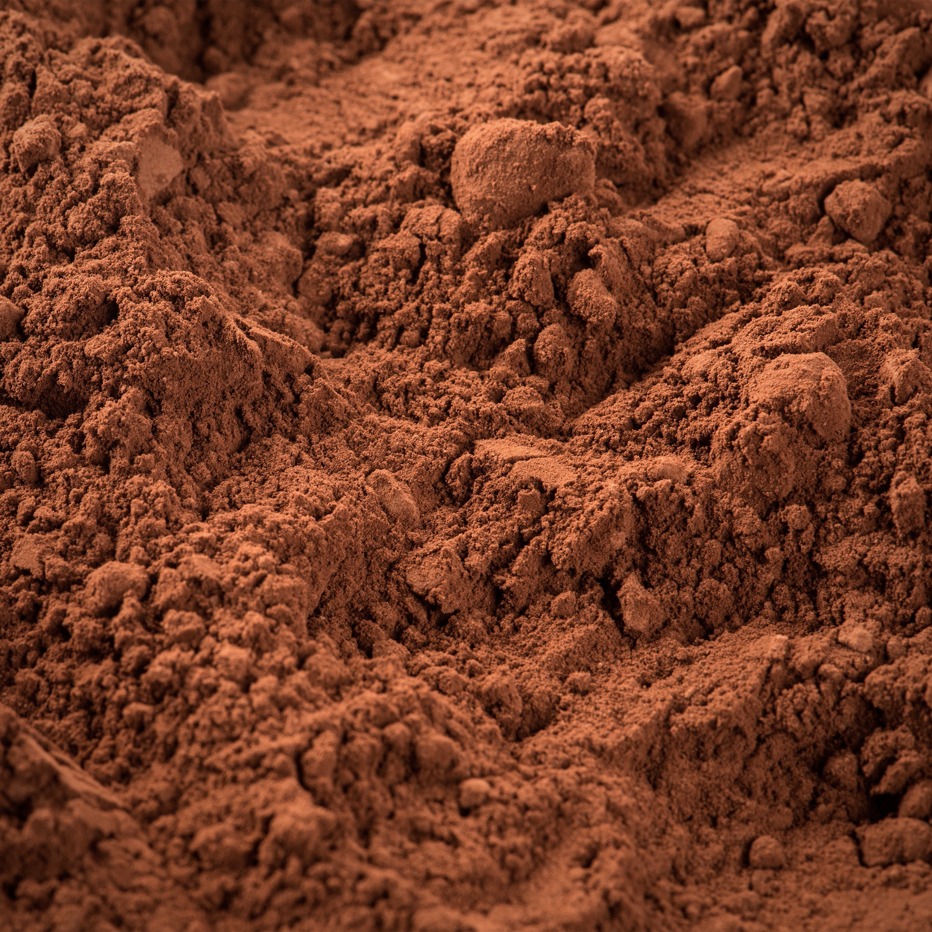 Cacao Powder, Nibs, and Beans | Your Go-To guide to NaturaleBio’s variations
