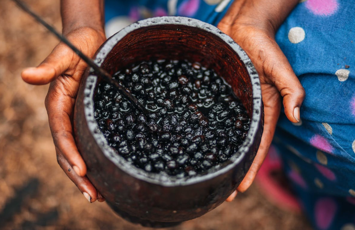 5 Beneficios del Açaí en polvo para la piel