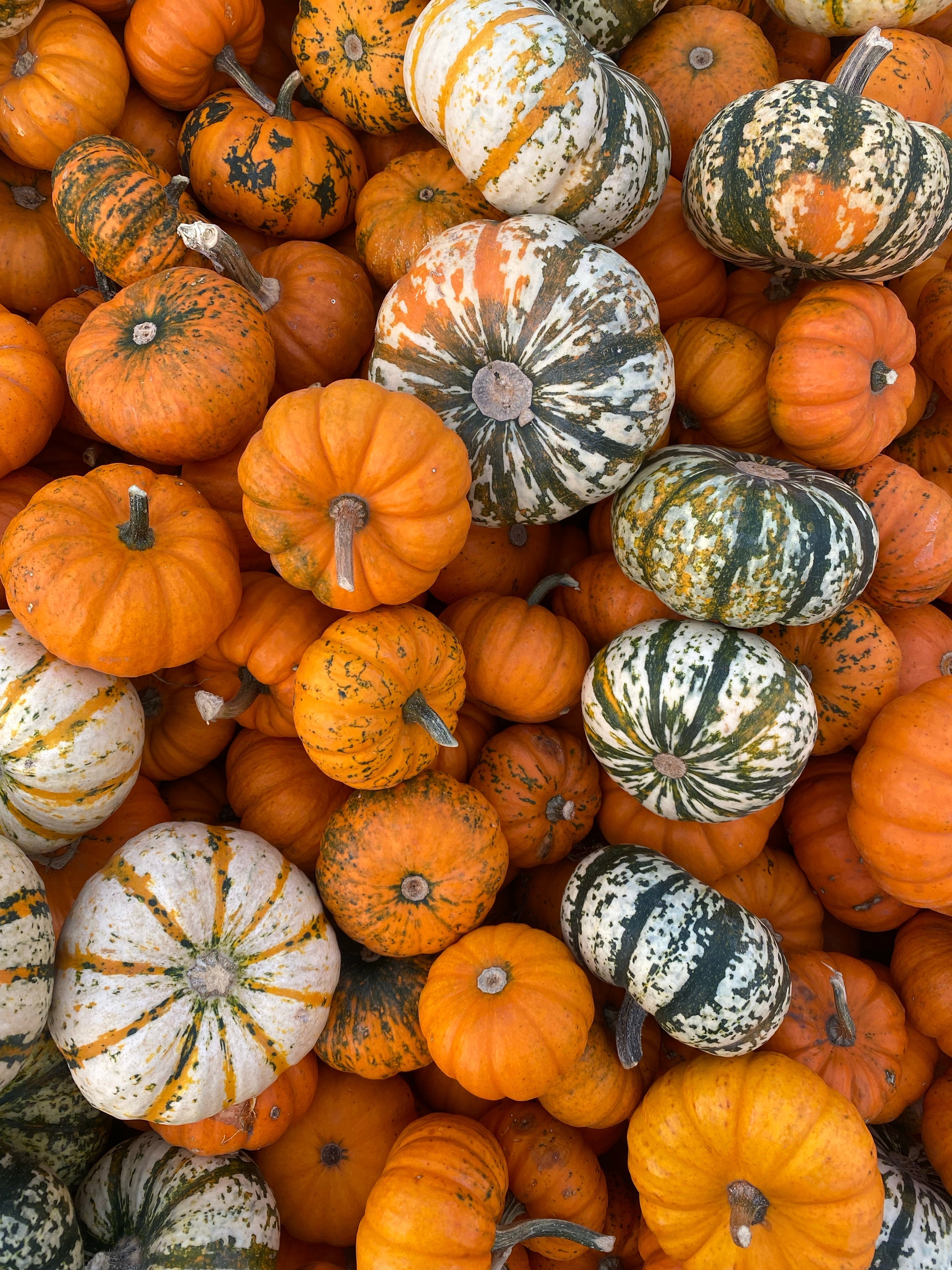 Pumpkin spice 101: make it at home and elevate your autumn recipes