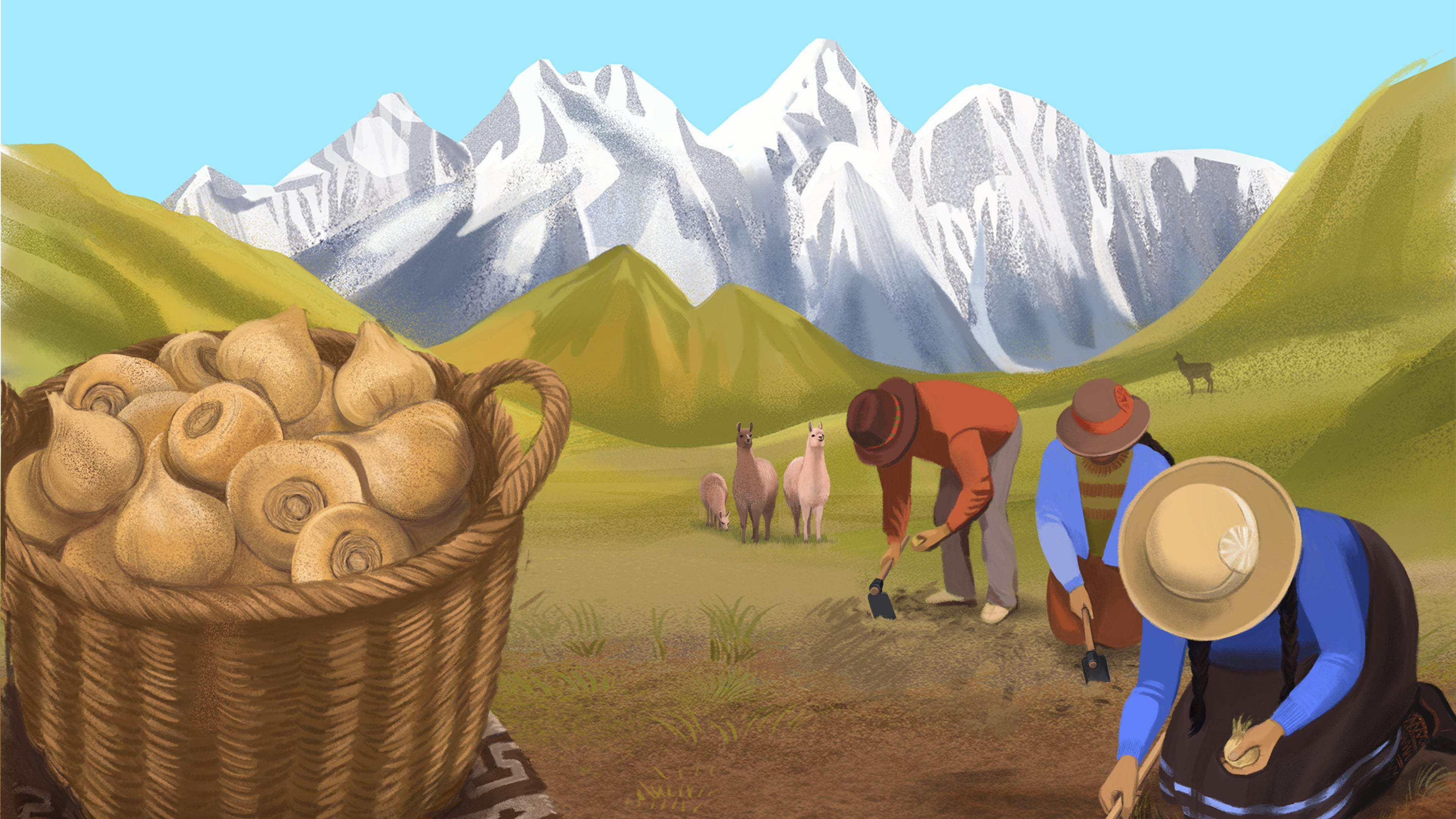 Our capsules. Simple, powerful and plant-based.