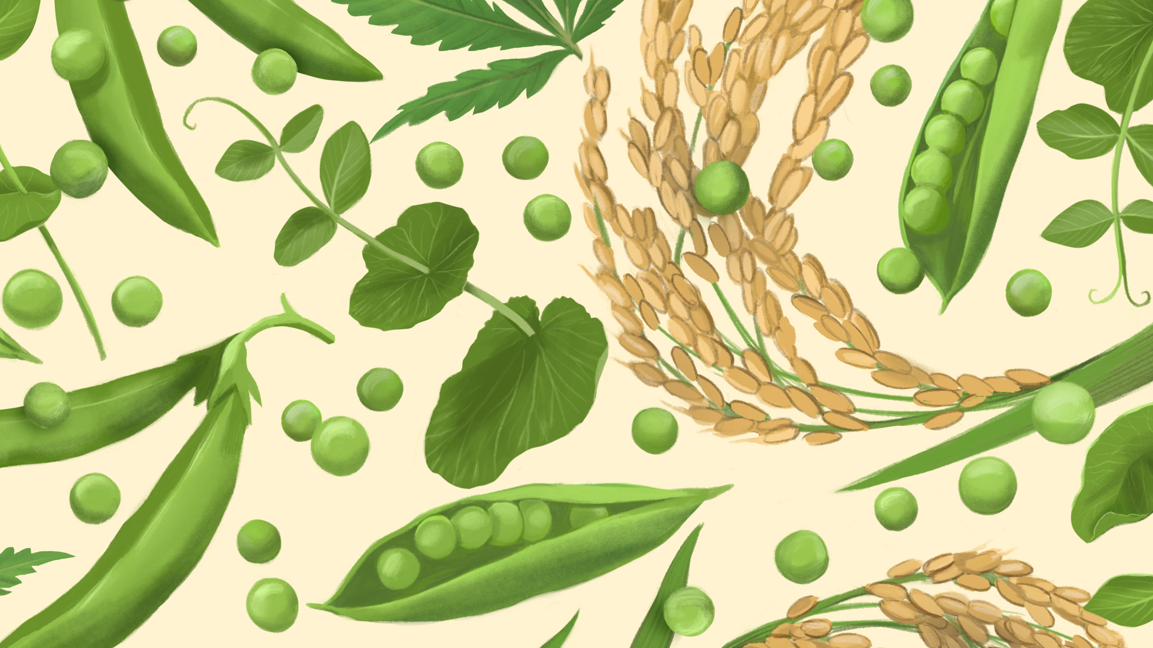 Functional blends. Shake it, love it.