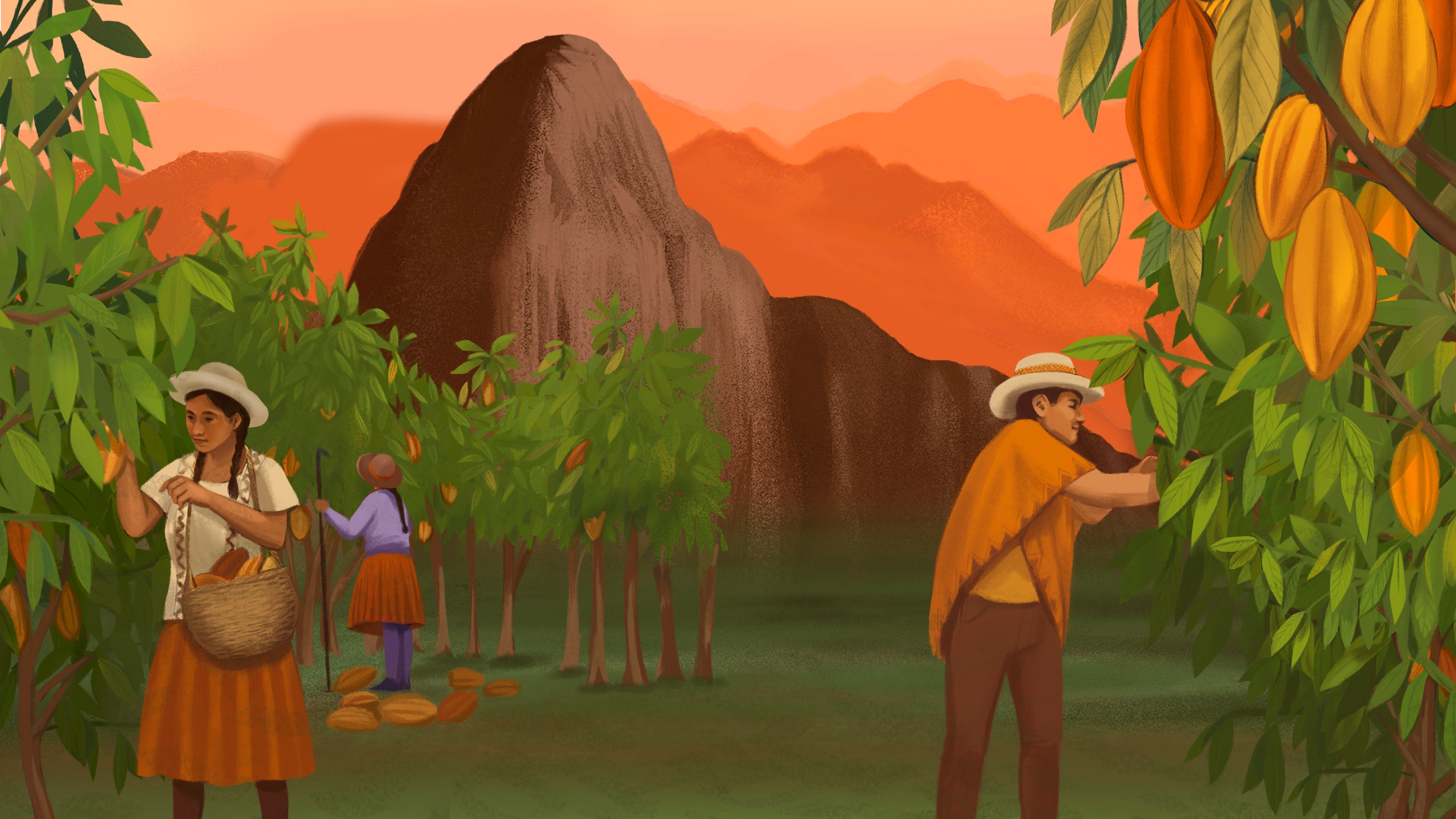 Raw and functional food. Ready to be savored.