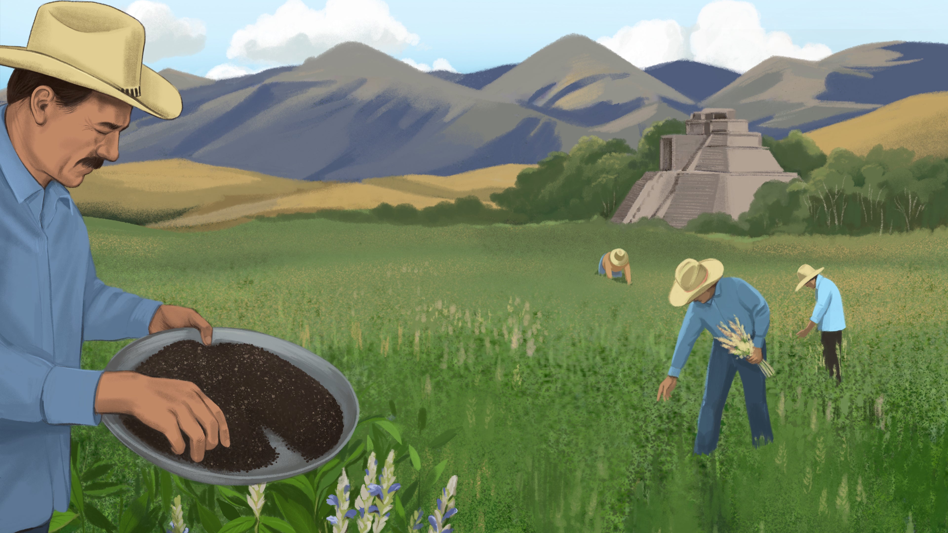 Seeds and nuts. A small daily essential