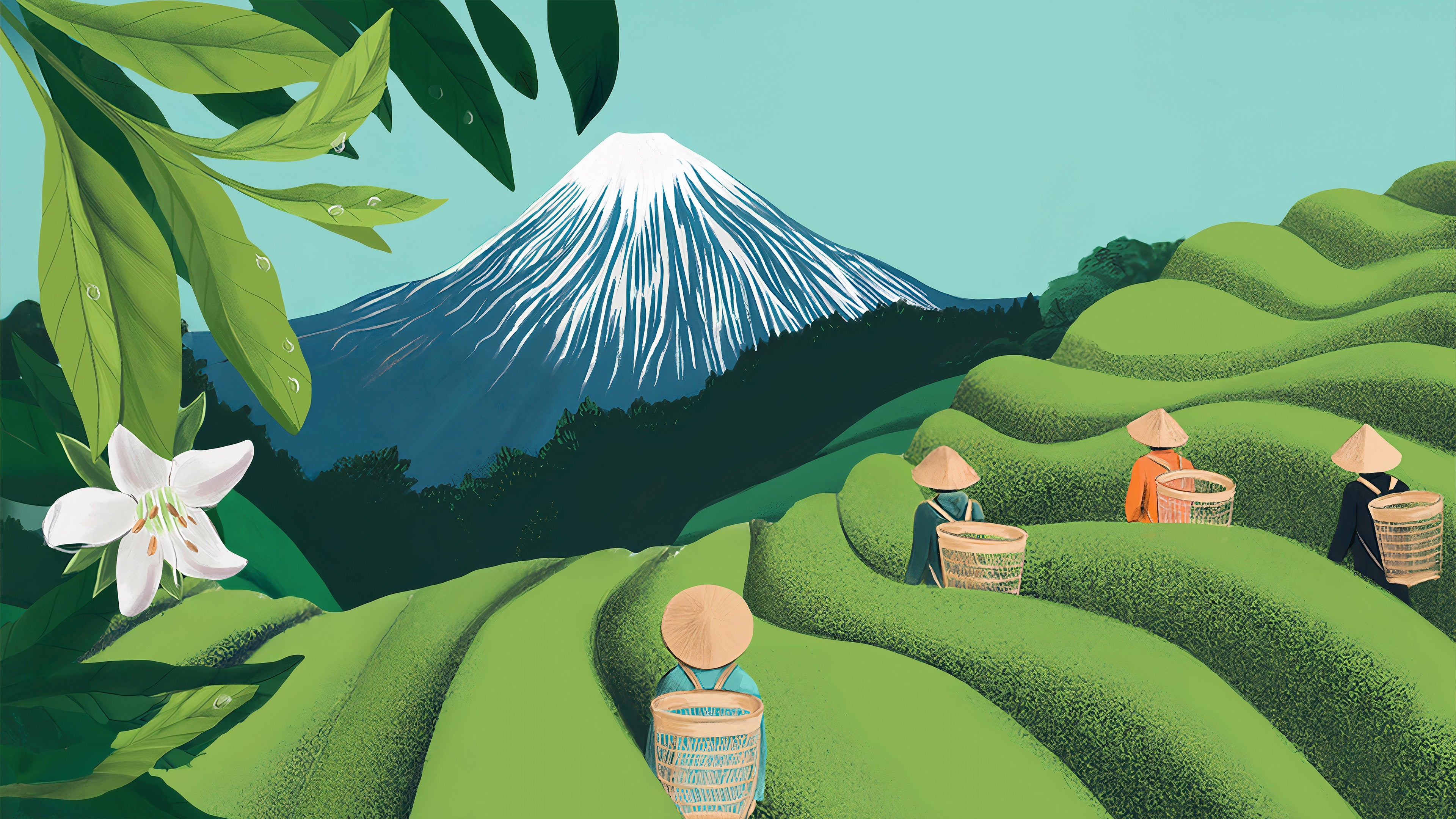 Matcha Teas and infusions. Pure ritual, daily wellness.