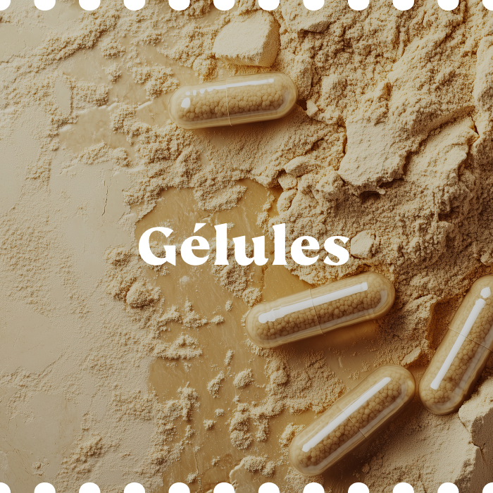 Image de diapositive