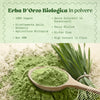 Erba d’Orzo Biologica in Polvere