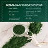 Alga Spirulina Biologica in Polvere