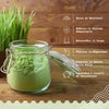 Organic Barley Grass Powder