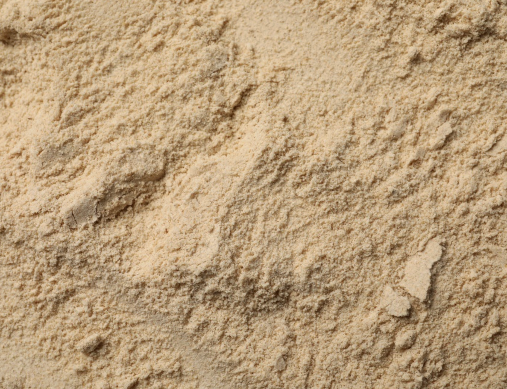 Organic Vegan Protein Blend