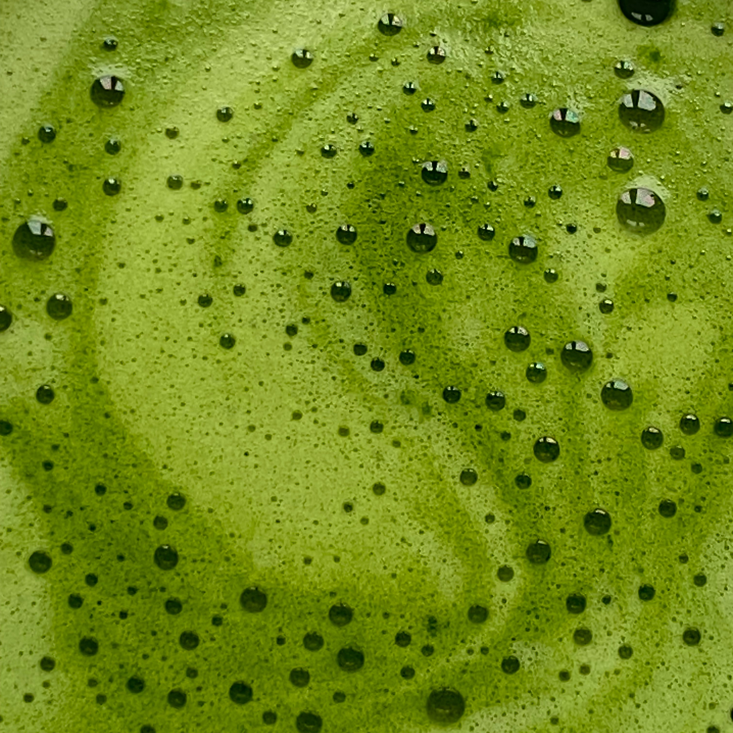 Image de diapositive