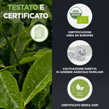 Organic Matcha Green Tea Ceremonial Grade A Powder
