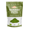 Moringa Oleifera Bio in Polvere